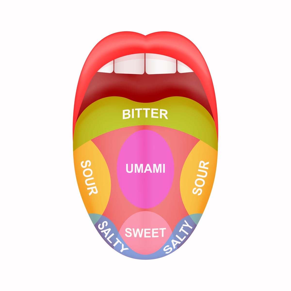 The science behind taste