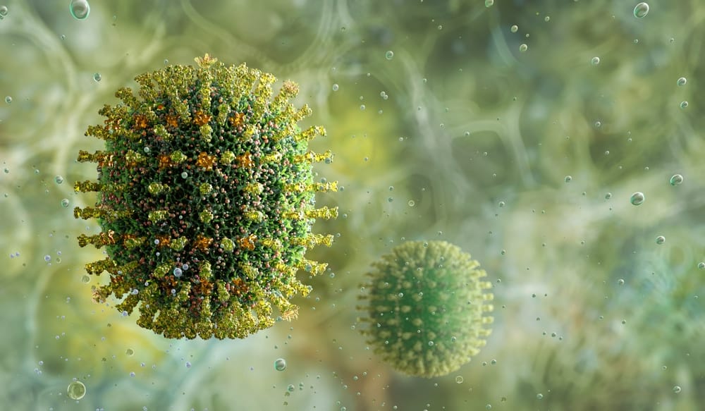 Understanding the flu: A guide for seniors
