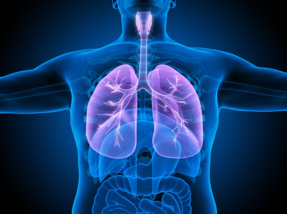 Understanding the respiratory system