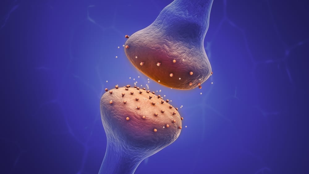 Understanding the science behind opioids