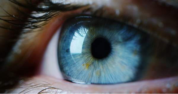 Easy eye exercises that slow age-related vision changes