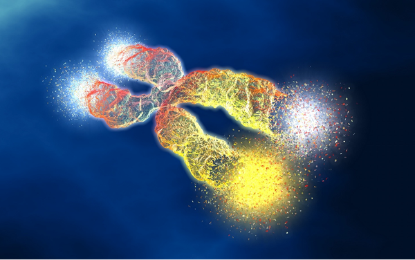 The science of aging