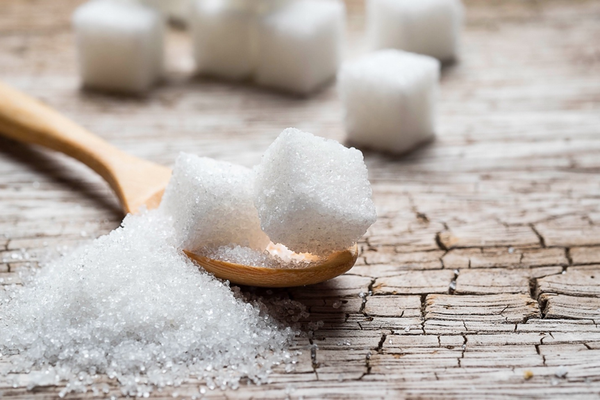 The effect of sugar on the brain