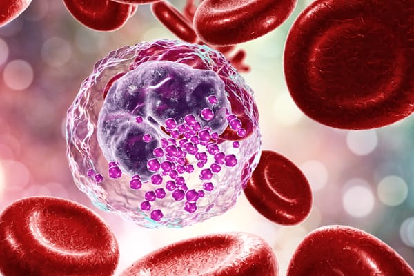 What is chronic inflammation?