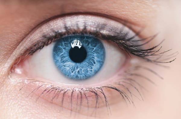 How the eyes work
