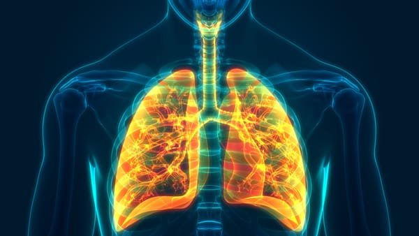 An introduction to the respiratory system
