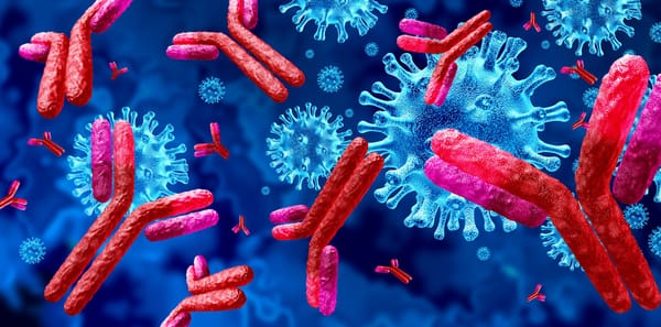 An introduction to the immune system
