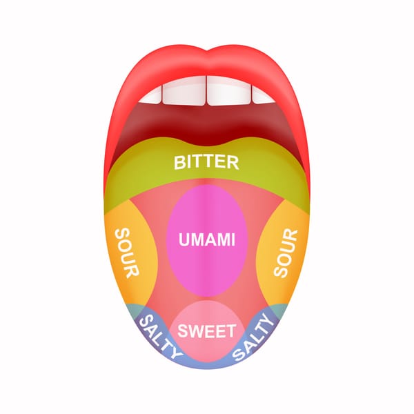 The science behind taste