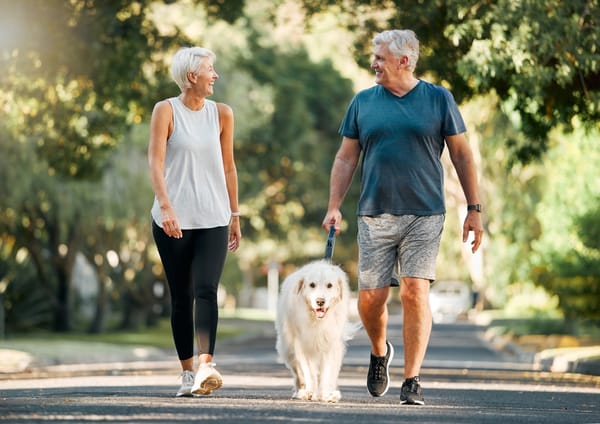 How pets can improve the lives of seniors