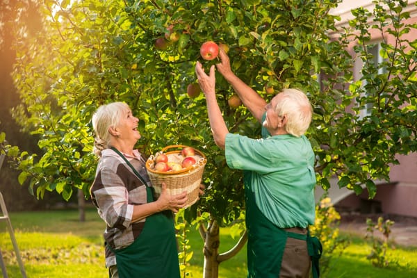 Fun fall activities for seniors