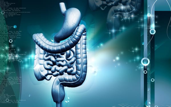 An introduction to the digestive system