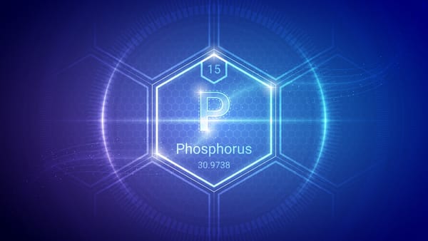 Why phosphorus matters for seniors