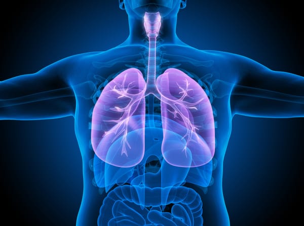 Understanding the respiratory system