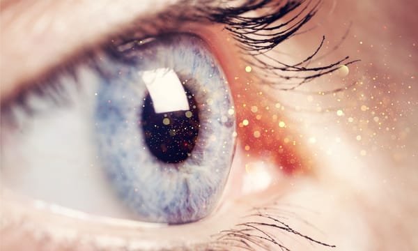 An overview of vision